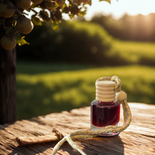 Apple Cranberry Jam Car Scent Diffusers
