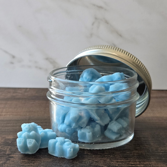 Sandy Beach Wax Melt